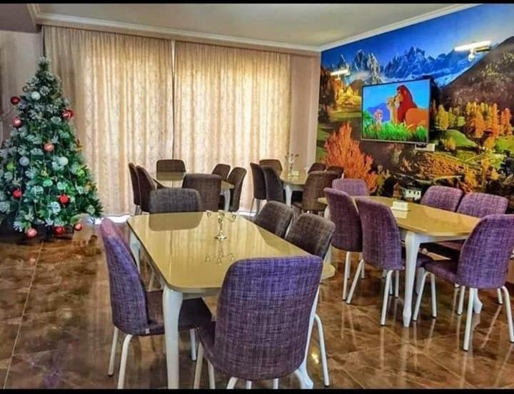 Hotel Diamond Kazbegi エクステリア 写真