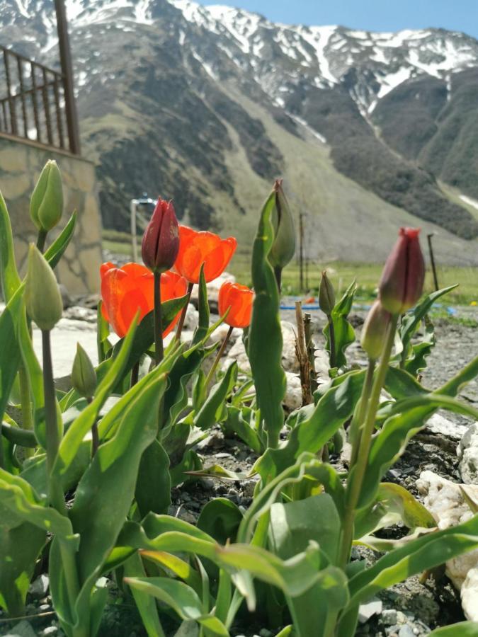 Hotel Diamond Kazbegi エクステリア 写真
